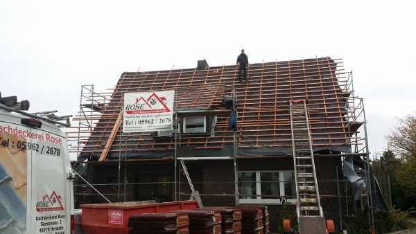 Rose_Dachdecker_Herzlake_6.jpg